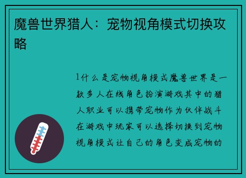 魔兽世界猎人：宠物视角模式切换攻略